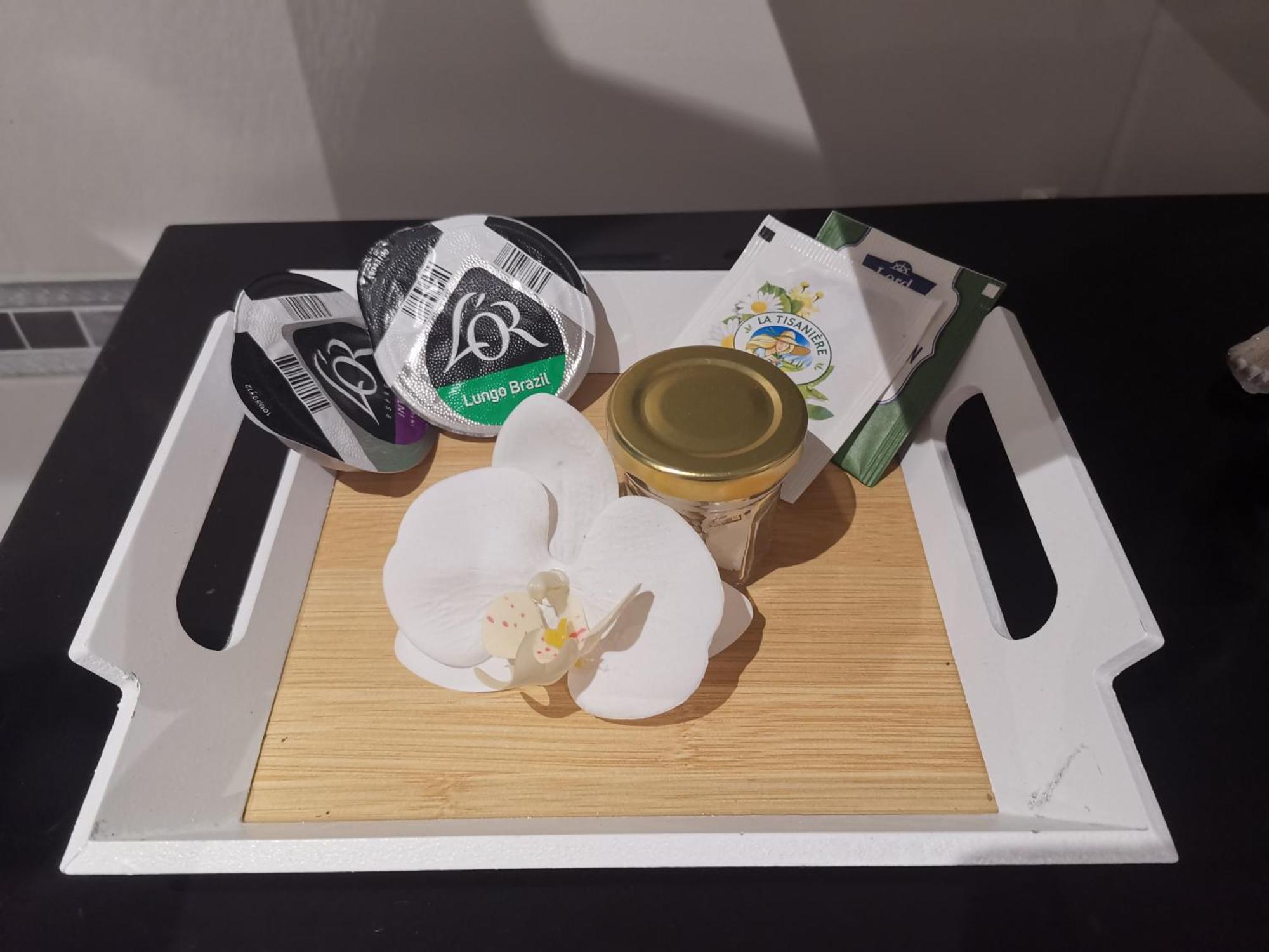 Souvenirs De Provence, Charmant Appartement Neuf 3 Etoiles ディーニュ・レ・バン エクステリア 写真